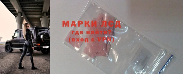 гашик Арсеньев