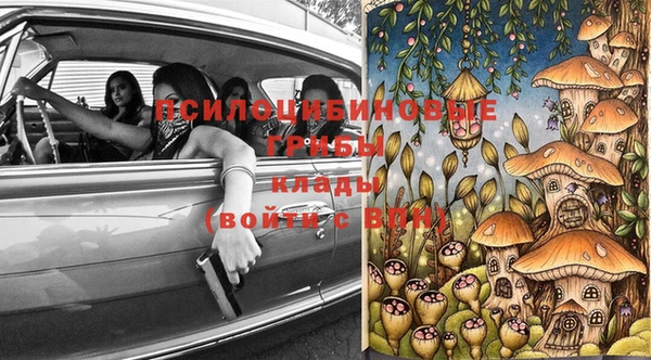 гашик Арсеньев