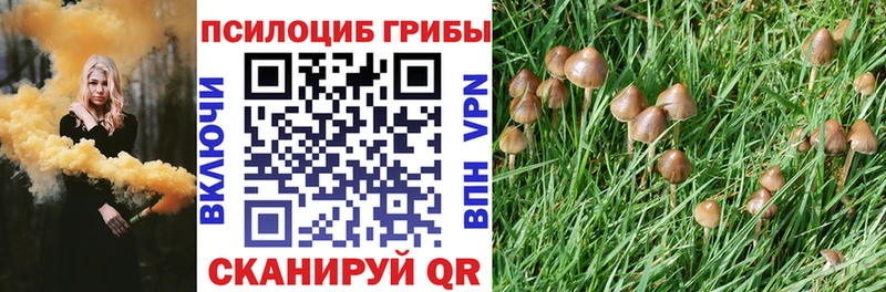 магазин  наркотиков  Полысаево  Галлюциногенные грибы мицелий 